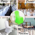Banquet-Variations-Parrot-Green